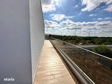 Strada Scolii, Voluntari, Ilfov