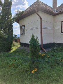 Casa de vanzare Valea Topliței