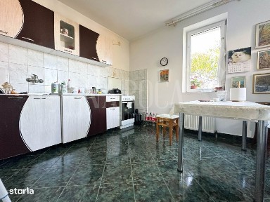 Andrei Muresanu, Cluj-Napoca, Cluj