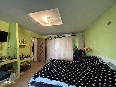 Steaua, Timisoara, Timis