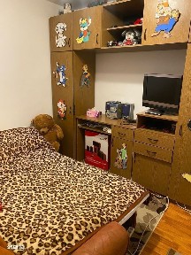 Aleea Forajului, Nufarul, Oradea, Bihor