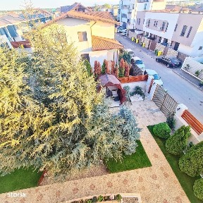 Intrarea Mesteacanului, Otopeni, Ilfov