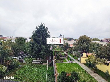 Subcentral, Satu Mare