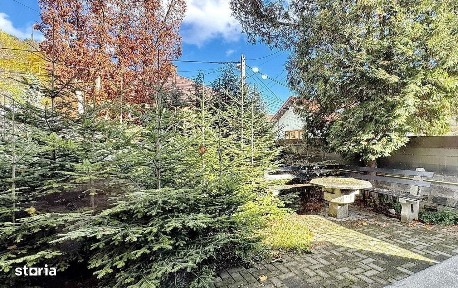 Zona Ultracentrala | Destinatie Comeriala sau Rezidentiala