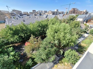 Bucuresti - Ilfov, Voluntari