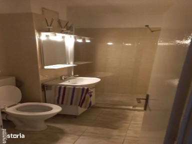 Steaua, Timisoara, Timis