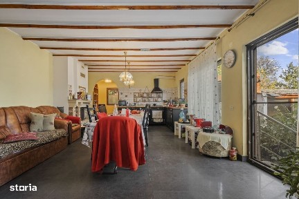 COMISION 0% | 2 Case cu Spatiu Comercial | Teren 1019mp | 540 eur/mp