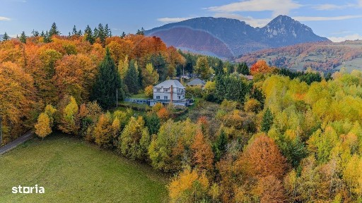 Strada Brazilor, Poiana Marului, Brasov
