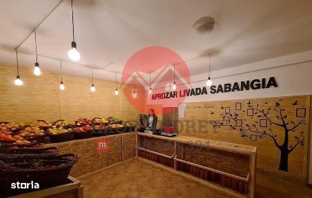 Spatiu comercial de vanzare zona mahmudiei stradal 40mp