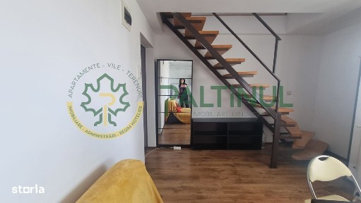 Mansarda zona Mihai Viteazu