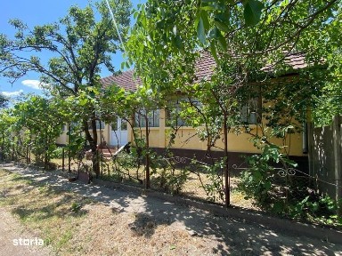 Casa la Cebza cu 4000 mp teren intraviran