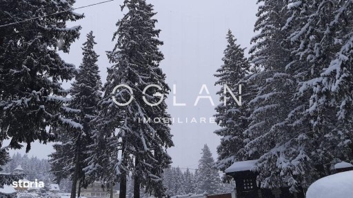 Vila in Paltinis - 6 camere, complet utilata, Comision 0%