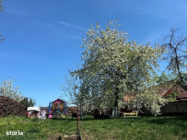 Dambul Rotund, Cluj-Napoca, Cluj
