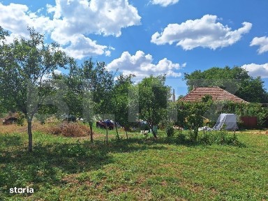 Casa cu teren intravilan, 4600 mp, investiitii/dezvoltare!