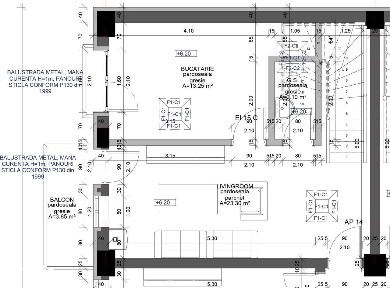 Ap. cu 2 camere + 40 mp gradina, mobilat, Zona Centrala