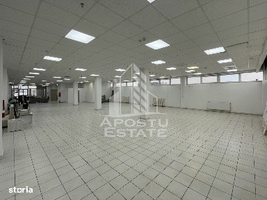 Antene, Timisoara, Timis