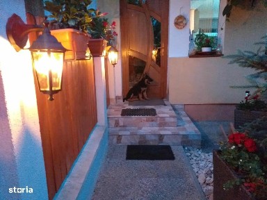 Sangeorgiu De Mures, Mures