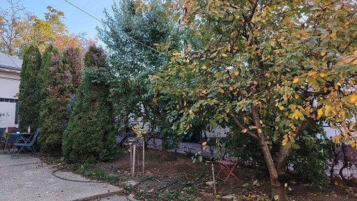 Casa de inchiriat Craiova, zona rezidentiala centru