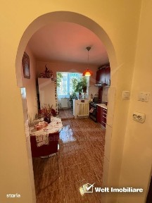 Apartament 2 camere Grigorescu, zona Somes