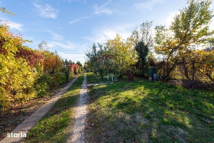 Casa cu 4 camere de vanzare Domnesti