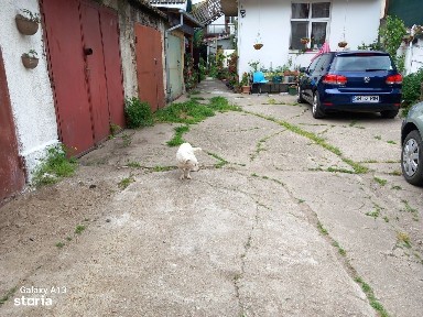 Centru Nou, Satu Mare