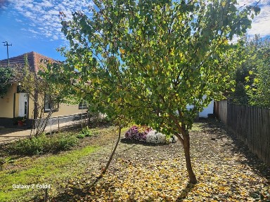 CASA DE VÂNZARE zonă centrală