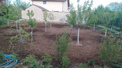 Vila 5cam teren 850m incalzire pardoseala beci semineu langa Bucuresti