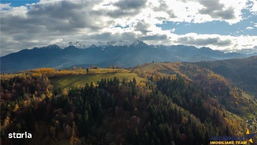 FILM! Constructie rustica tip Casa Verde, cu parau si panorama impresi