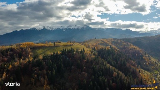 FILM! Constructie rustica tip Casa Verde, cu parau si panorama impresi