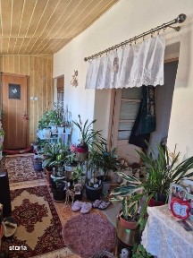 Cetate, Timisoara, Timis