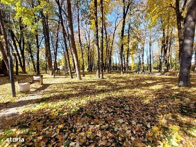 Pucioasa, Dambovita