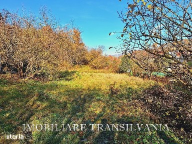 Strada Valea Budacului, Bistrita, Bistrita-Nasaud