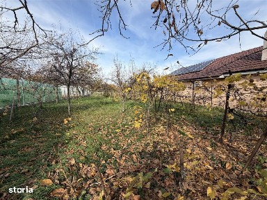 Tokai, Oradea, Bihor