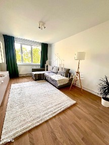 Tipografilor, Timisoara, Timis