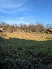 Casă și teren cu potențial