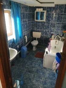 Vând casa in sat Teslui