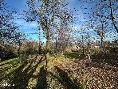 Babta, Bogdand, Satu Mare