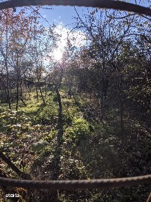 Dambul Rotund, Cluj-Napoca, Cluj