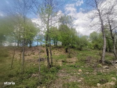 Vanzare - Casa P+M si teren 30 ari (7089)