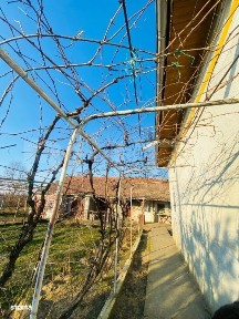 Casa pe parter, 2.753 mp teren, Marotinu de Sus