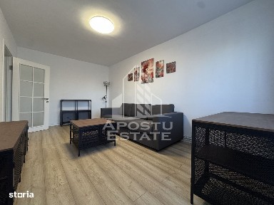 Stadion, Timisoara, Timis