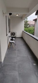 Bucuresti - Ilfov, Voluntari