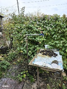 De vanzare casa, teren 9000mp 10 min de orasul Roman