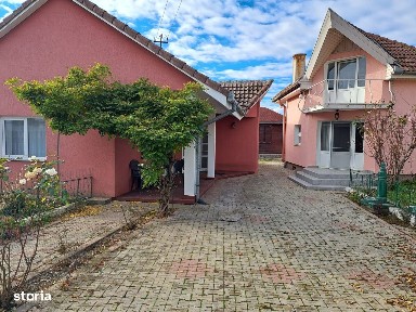 OFERTA! Proprietate 2 case + Cabană I Mobilat și utilat I Băcia, HD