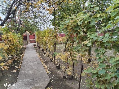 Casa cu teren - central Segarcea