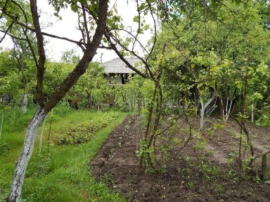 Arges, Rachitele de Jos