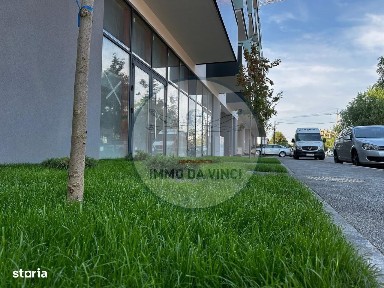 Bulgaria, Cluj-Napoca, Cluj