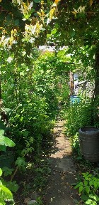 Olosig, Oradea, Bihor