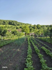 casa de vanzare in Mura Mare