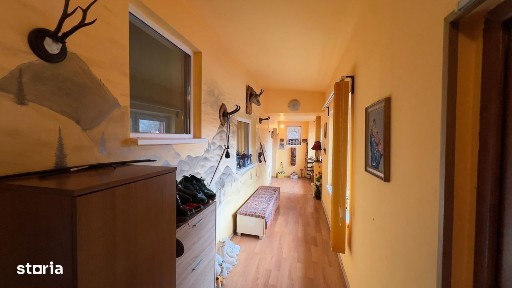 Petrosani, Hunedoara